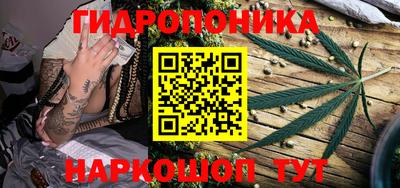 гидропоника Кимры